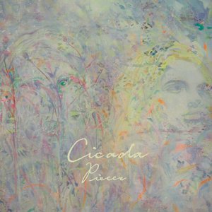 国产特级毛片A高清
