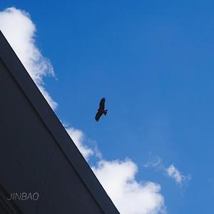 国产特级毛片A高清
