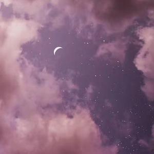 国产特级毛片A高清
