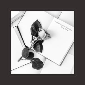 国产特级毛片A高清
